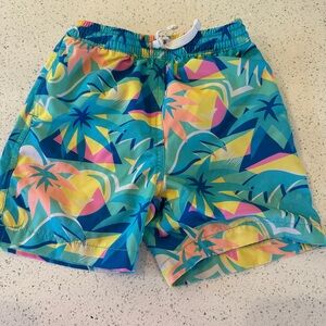 Chubbies boys lined swim trunks (6)